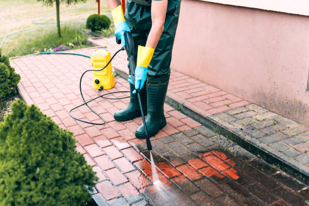 Brick and Stone Cleaning